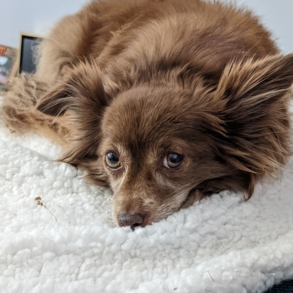 Shana's Closet - Picture 2 of 4